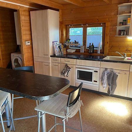 Ferienhaeuser An Den Orgelpfeifen Scheibenberg Экстерьер фото